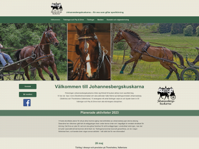 jok.horse snapshot