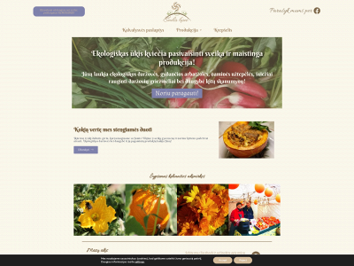 sauleslysve.lt snapshot