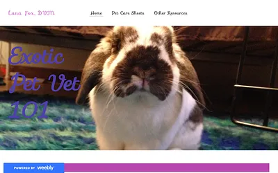 exoticpetvet101.weebly.com snapshot
