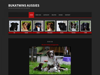 bukatwins-aussie.at snapshot