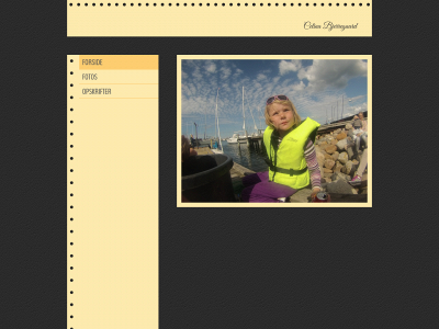 cbintra.dk snapshot