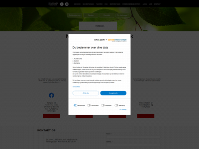 nsfv.dk snapshot