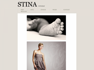 stinananneson.com snapshot