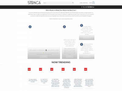 stonca.com snapshot