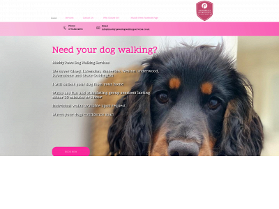 muddypawsdogwalkingservices.co.uk snapshot