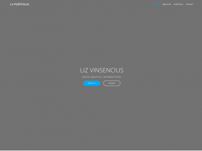 lizvportfolio.se snapshot