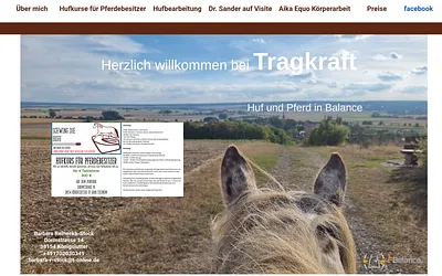 tragkraft.net snapshot
