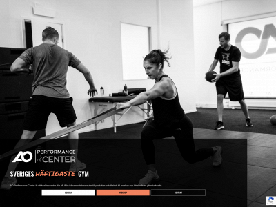 aoperformancecenter.se snapshot