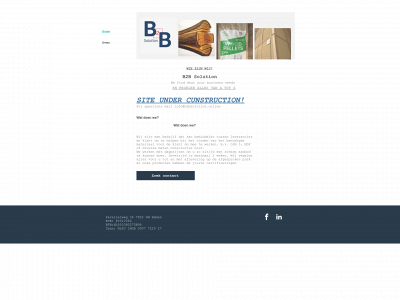 b2bsolution.online snapshot