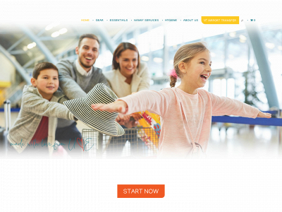 babytravelgear.co snapshot