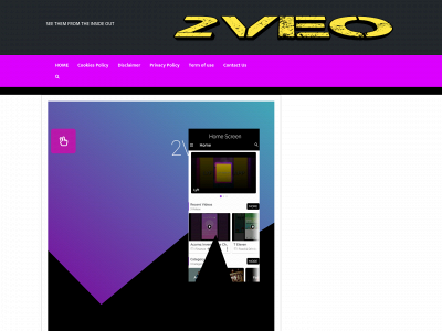 2veo.com snapshot
