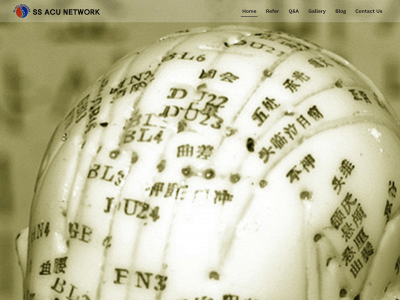 ssacunetwork.com snapshot