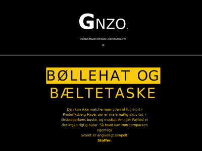 gnzo.dk snapshot