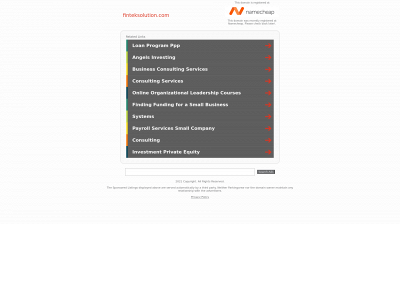 finteksolution.com snapshot
