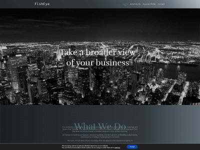 fisheye-consulting.com snapshot