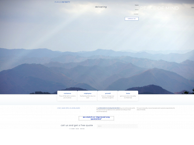 purusinfinity.com snapshot