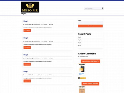 meysa.net snapshot