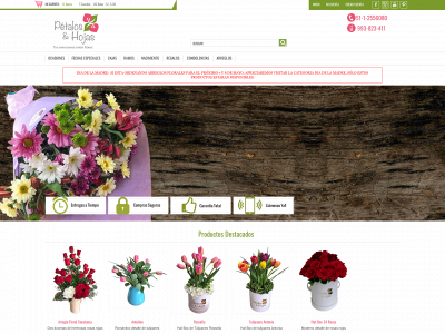floreriapetalosyhojas.com snapshot