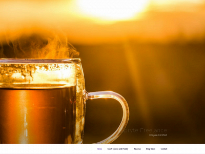 sprytefreelance.com snapshot