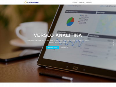 bisprendimai.lt snapshot