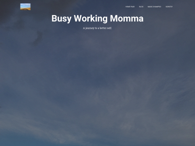 busyworkingmomma.com snapshot