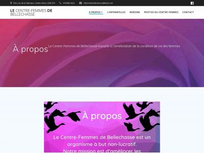 centrefemmesbellechasse.com snapshot