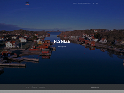 flynize.se snapshot