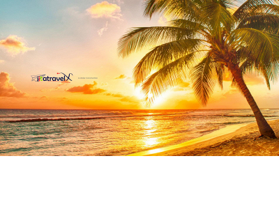 iitatravelx.com snapshot