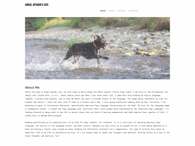 apiadoangel.weebly.com snapshot