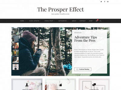 theprospereffect.com snapshot