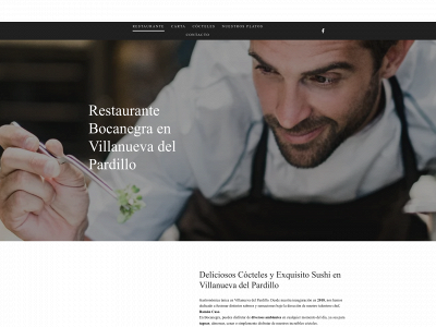 restaurantebocanegra.es snapshot