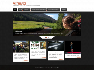 sarahrpayne.com snapshot