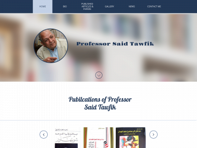 saidtawfik.com snapshot