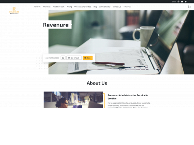 revenure.com snapshot