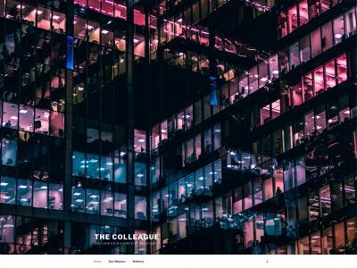 thecolleague.net snapshot