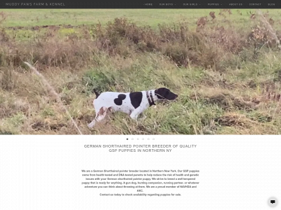 muddypawskennel.com snapshot
