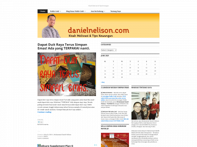 danielnelison.com snapshot