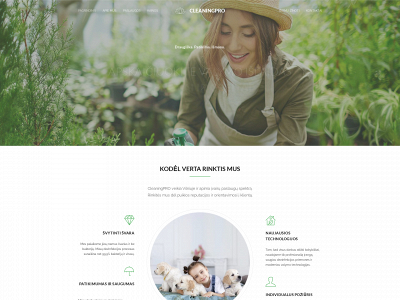 cleaningpro.lt snapshot