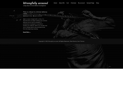 criminal-defense-investigations.com snapshot