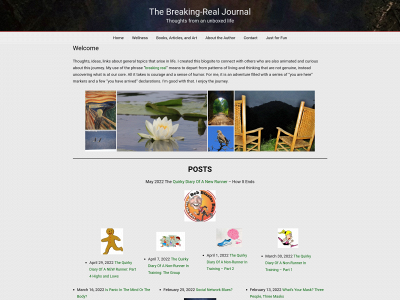 thebreakingrealjournal.com snapshot