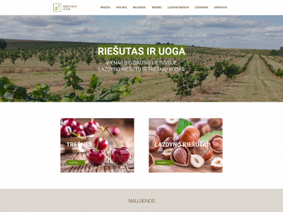 riesutasiruoga.lt snapshot