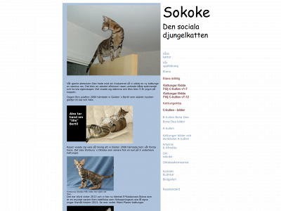sokoke.se snapshot
