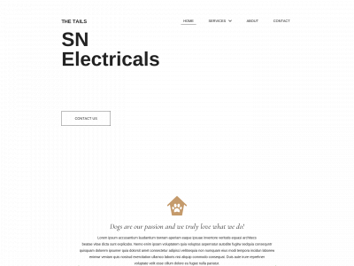 snelectricalslk.com snapshot