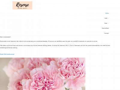 rosense.store snapshot