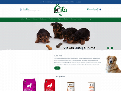 cita.lt snapshot