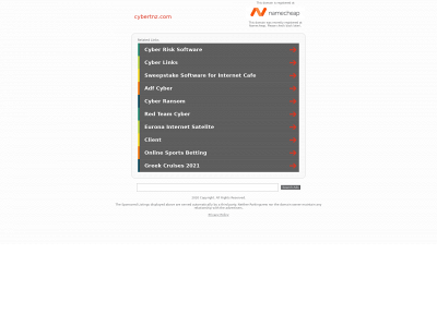 cybertnz.com snapshot