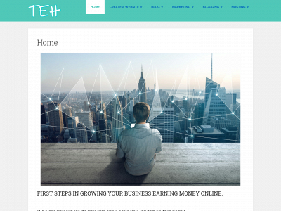 theearninghub.com snapshot