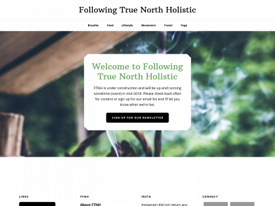 followingtruenorthholistic.com snapshot
