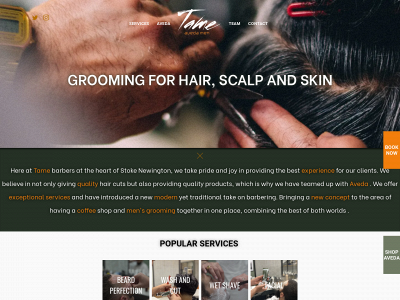 tamebarber.com snapshot