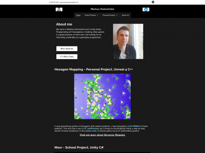 markus-holmstrom.com snapshot